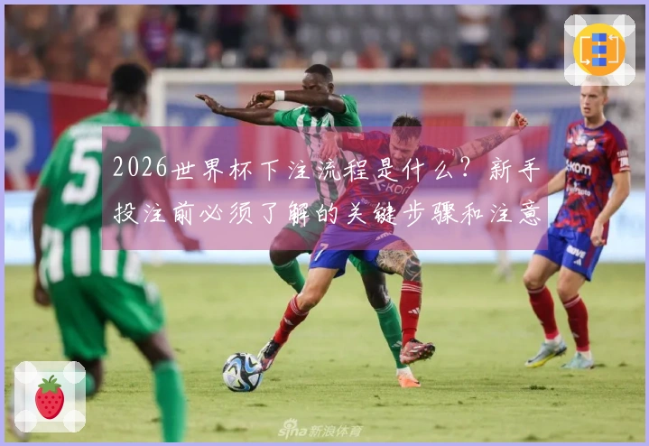 2026世界杯下注流程是什么?新手投注前必须了解的关键步骤和注意事项