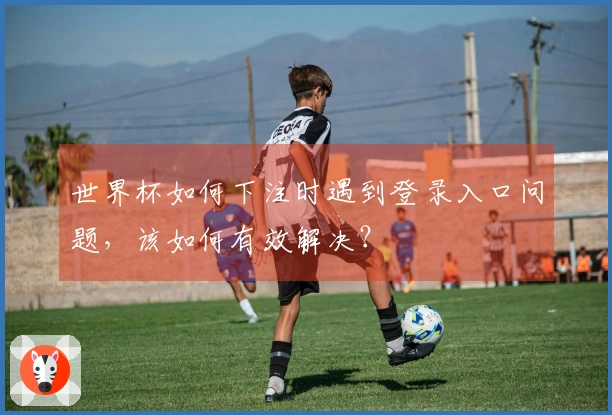 世界杯如何下注时遇到登录入口问题，该如何有效解决？